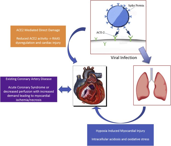 Impact Of COVID-19 On Heart Health gr1 - Impact Of COVID-19 On Heart Health