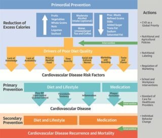 Diet chart Diet chart