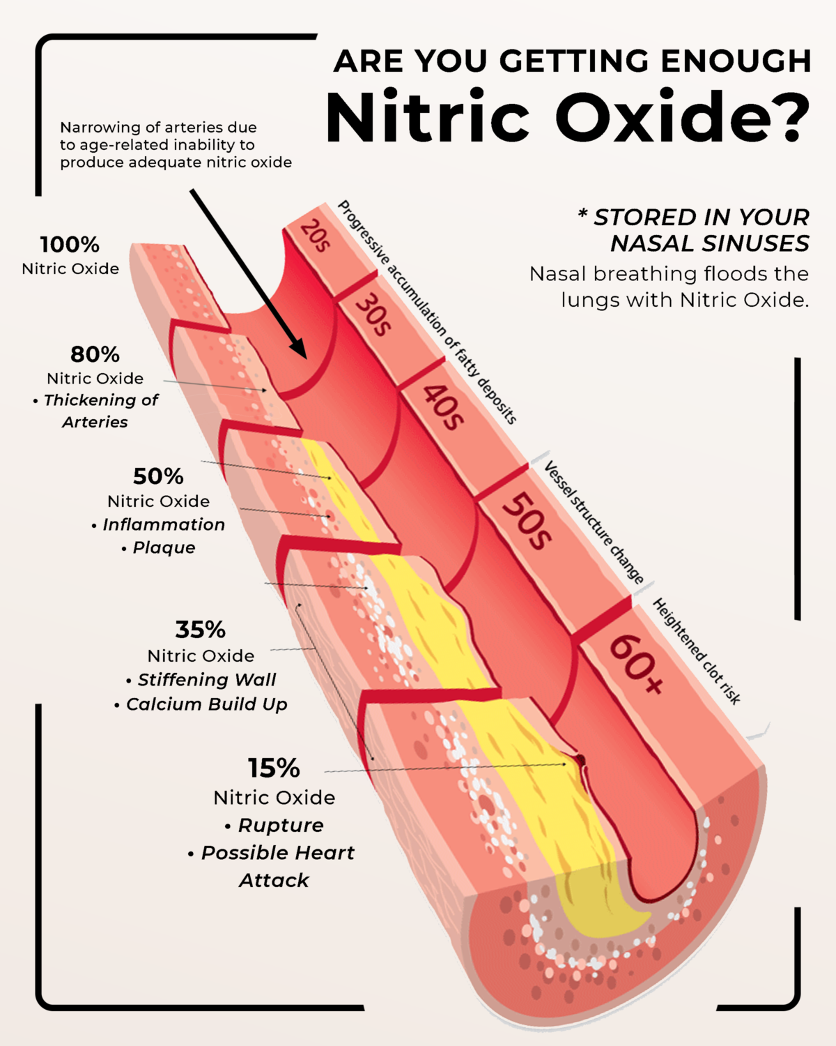 Effects of Different Nitric Oxide Levels Effects of Different Nitric Oxide Levels
